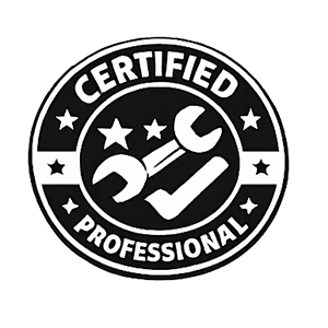 Certified Professional Badge